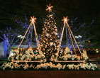 Christmas Wallpapers 138
